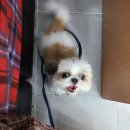 해뜨는 동물병원 해질녘책방 네이버블로그