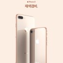 미르텔레콤 이미지