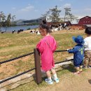 한성목장 이미지