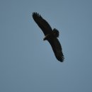 동주 농장 이미지