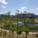 원주굽이길 원10코스 바람머리산길 이미지