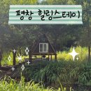 충인1길 | [평창] 사우나 있는 해발 600m 위 트리하우스 &#39;평창힐링스테이&#39; + 애견동반 가능