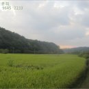 이반성면-1 이미지