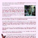 카넬라 이미지