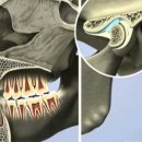 당신e빛나는 치과의원 이미지