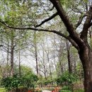 솔빛공원 2 이미지