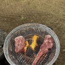 주말공원 이미지