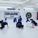 미스터샤크 수원 주짓수 킥복싱 멀티짐 이미지