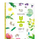 식물도감 Daum카페