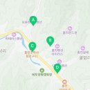 노랑통닭비발디점