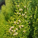 정양한방병원 이미지