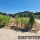 100평에 허가득하여 5500만원 송해면 양오리 토지,강화도농막, 강화주말주택부지 이미지