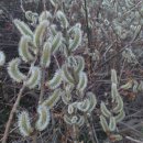 화양세탁소 이미지