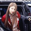 다님 이미지