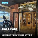 펫앤캣 | 일본 요코하마 마린앤워크 paw's living | 강아지 펫 편집샵 파우즈리빙 방문기 아카렌가 쇼핑