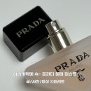 패러독스 | 올여름 향수 대신 써도 될까? 프라다 패러독스 헤어 퍼퓸 미스트 후기