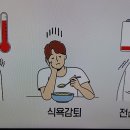 중증도 루푸스 이미지