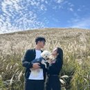 제주댕댕이애견펜션블랙 이미지