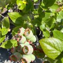 영도건강약국 이미지