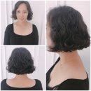 비비드헤어 이미지