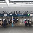 416 | CX416 탑승 후기✈️ 캐세이퍼시픽 기내식·좌석·셀프수속 총정리 (홍콩-인천)