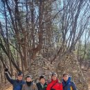 우면산3-15 이미지