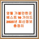 영월 가볼만한곳 베스트10