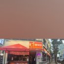 분식포차 네이버블로그