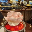 몽지 | 압구정 감성 디저트 끝판왕, 카페 몽지(caffe mongi)의 인기 이유는? 내돈내산 후기