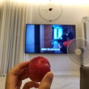 영우축사 | [블챌] 7월3주차 - 주간일기 챌린지