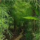 일일시호일 이미지