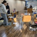 피닉스클럽 이미지