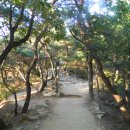 망우산 2보루 | 아차산 아차산5보루~아차산1보루~고구려정~넓적바위 (서울둘레길5코스)