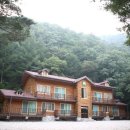 통고산자연휴양림 이미지