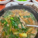 고우국밥 이미지