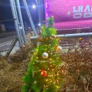 고경식당 | 경북 영천맛집 고경닭갈비 삼사식당 솔직후기