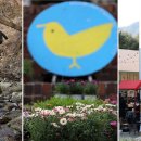 양평샘꼴농장 이미지