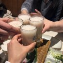 대물푸드 | 대물섬 다녀온 후기