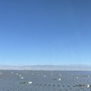 푸른태양광발전소 이미지