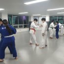 탄방유도관 이미지