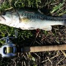 영산강로 이미지