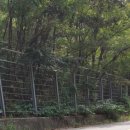 모골식당 이미지