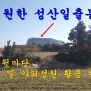 제주노른자부동산중개 이미지