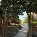 수정1배수지공원 이미지