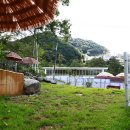 멍스타애견 이미지