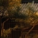 아이누리한의원 광명점 이미지