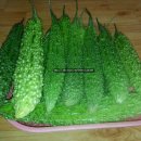 여주-0087 이미지