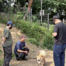 댕댕이를 부탁해 이미지