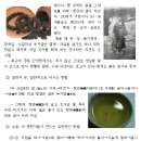 대안유통 이미지