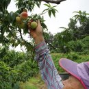 김경태농장 이미지